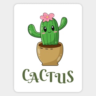 Cute Cactus Magnet